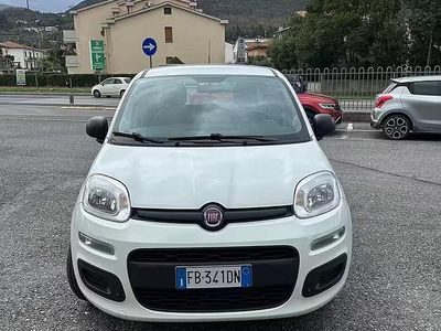 Usata Fiat Panda Young 69 CV (50 kW) 2015 Bianco Utilitaria