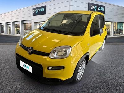 Usata Fiat Panda S 69 CV (50 kW) 2024 Giallo Utilitaria