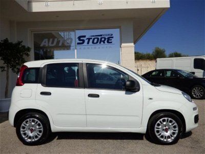 usata Fiat Panda 4x4 1.3 MJT 80 CV S&S usato