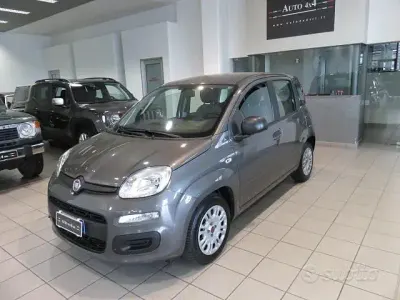Usata Fiat Panda S 69 CV (50 kW) 2021 Grigio Utilitaria