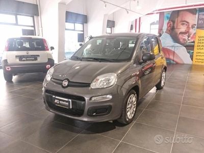 Usata Fiat Panda 70 CV (51 kW) 2022 Grigio Utilitaria