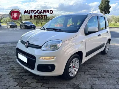 Usata Fiat Panda Easy 75 CV (55 kW) 2013 Bianco Utilitaria