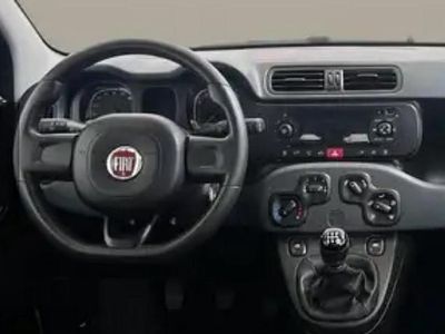 Usata Fiat Panda 70 CV (51 kW) 2021 Grigio Utilitaria