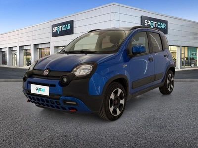 usata Fiat Panda Cross 1.0 FireFly 70cv S&S Hybrid