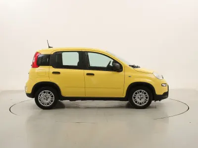 Usata Fiat Panda Pop 70 CV (51 kW) 2025 Giallo/orogiallo/oro Utilitaria