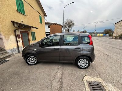 Usata Fiat Panda Easy 69 CV (50 kW) 2018 Grigio Utilitaria
