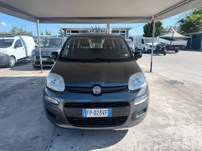 Usata Fiat Panda Easy 69 CV (50 kW) 2018 Grigio Utilitaria