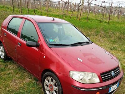 usata Fiat Punto 5p 1.3 mjt 16v Active