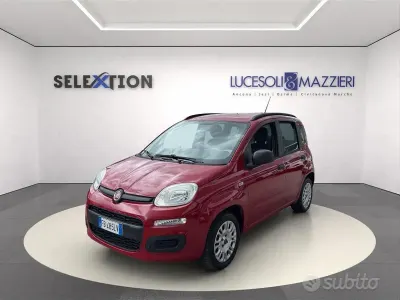 Usata Fiat Panda Easy 69 CV (50 kW) 2015 Rosso Utilitaria