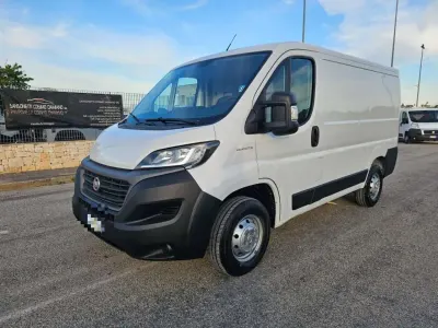Usata Fiat Ducato 120 CV (88 kW) 2020 Bianco Furgone
