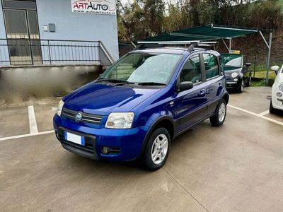 usata Fiat Panda 4x4 Panda 1.2 1.2 Climbing OK PER NEOPATENTATI