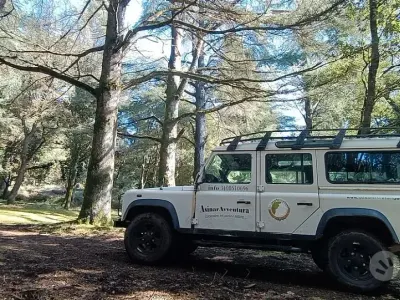 Usata Land Rover Defender