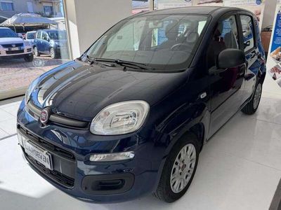 usata Fiat Panda 1.2 Easy