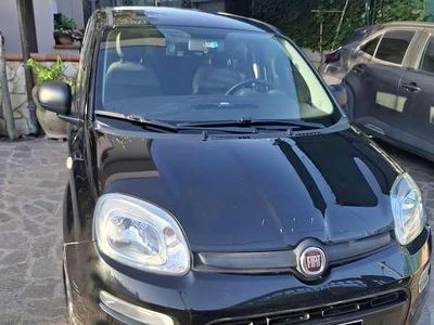Usata Fiat Panda Easy 69 CV (50 kW) 2021 Utilitaria
