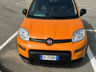 Usata Fiat Panda 69 CV (50 kW) 2021 Utilitaria