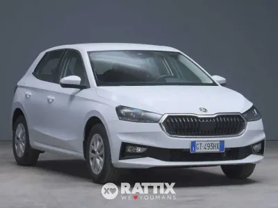 Brugt Skoda Fabia