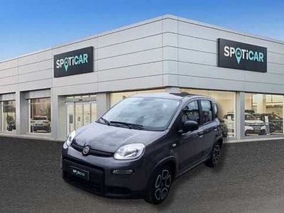 usata Fiat Panda Cross 1.0 FireFly S&S Hybrid City del 2022 usata a Imola