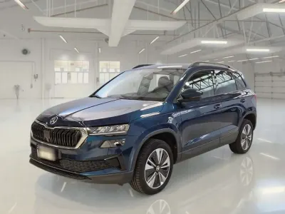 Usata Skoda Karoq