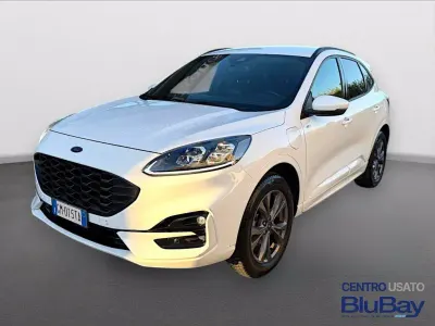 Usata Ford Kuga ST-Line X 225 CV (165 kW) 2023 Bianco SUV