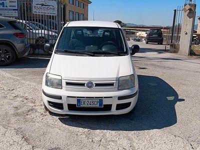 Usata Fiat Panda Dynamic 60 CV (44 kW) 2012 Bianco Utilitaria