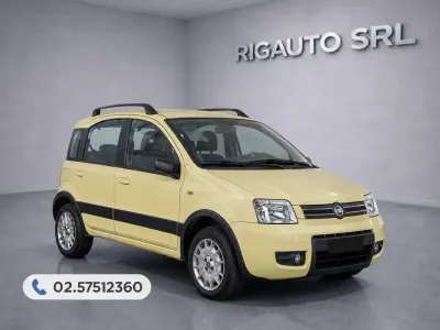 Usata Fiat Panda 4x4 Climbing 60 CV (44 kW) 2005 Giallo Utilitaria