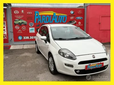 Usata Fiat Punto Lounge 75 CV (55 kW) 2013 Bianco Utilitaria