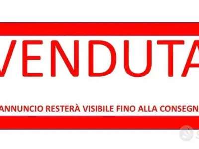 Usata Kia Picanto GT-Line 101 CV (74 kW) 2018 Bianco Utilitaria