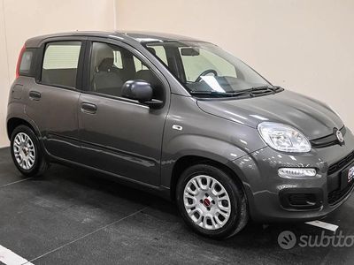Usata Fiat Panda S 69 CV (50 kW) 2022 Grigio Utilitaria