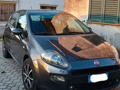 Usata Fiat Punto Evo 75 CV (55 kW) 2013 Grigio Utilitaria