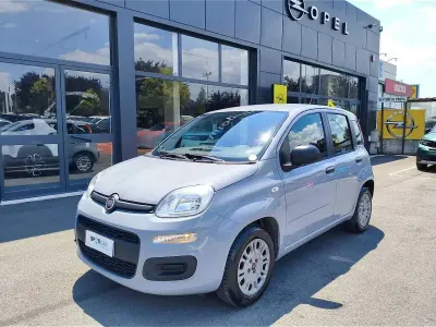 Usata Fiat Panda Pop 69 CV (50 kW) 2019 Argento Utilitaria