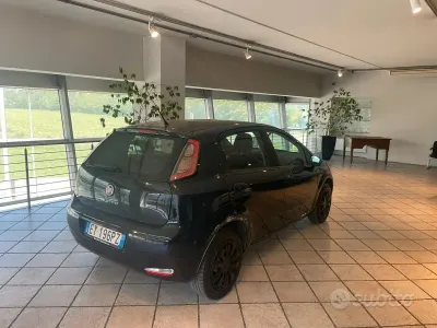 Usata Fiat Punto Young 77 CV (56 kW) 2015 Nero Utilitaria