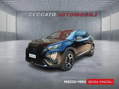 Usata Peugeot e-2008