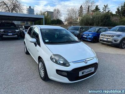 usata Fiat Punto 1.2 5 porte S&S Dynamic Fano