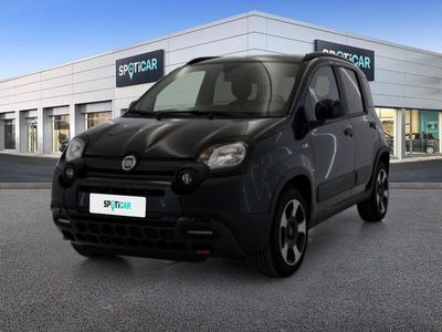 usata Fiat Panda Cross 1.0 FireFly 70cv S&S Hybrid