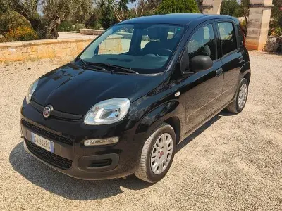 Usata Fiat Panda Easy 69 CV (50 kW) 2020 Nero Utilitaria