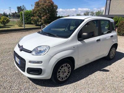 usata Fiat Panda Panda1.2 Easy 69cv