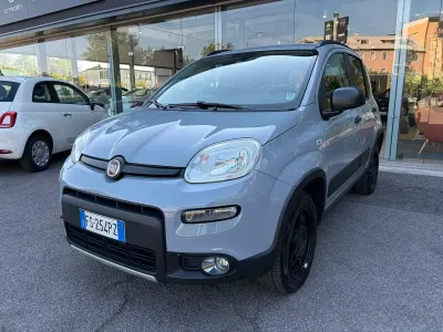 Usata Fiat Panda 4x4 S 95 CV (69 kW) 2018 Grigio Utilitaria