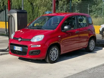 Usata Fiat Panda Easy 95 CV (69 kW) 2016 Rosso Utilitaria