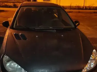 Usata Peugeot 206