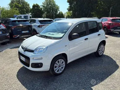 Usata Fiat Panda Easy 70 CV (51 kW) 2019 Bianco Utilitaria