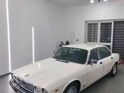 Occasion Jaguar XJ6 Sovereign 200 ch (147 kW) 1983 Blanc Berline