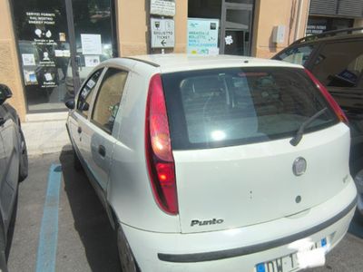 usata Fiat Punto 1.2 GPL 5 porte neopatentati