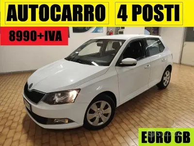Usata Skoda Fabia
