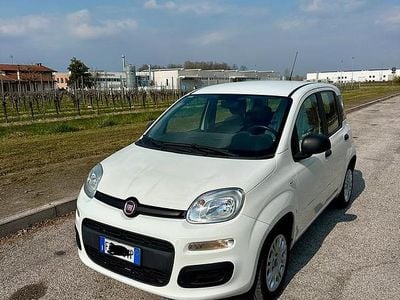 Usata Fiat Panda Easy 69 CV (50 kW) 2019 Bianco Utilitaria