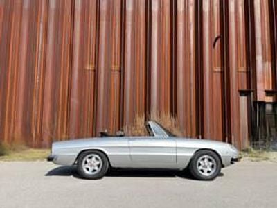 Usata Alfa Romeo Spider Veloce 132 CV (97 kW) 1971 Argento Cabrio
