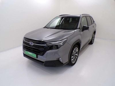 River rock pearl Usata 2024 Subaru Forester Premium SUV | 39.700 € (Cara)