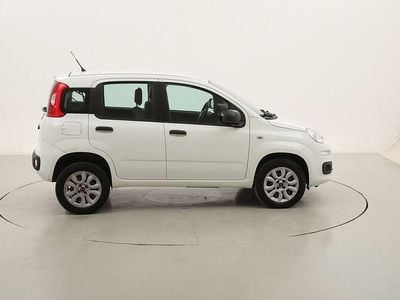 Usata Fiat Panda Easy 85 CV (62 kW) 2018 Utilitaria