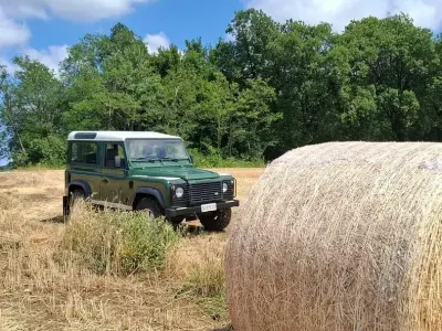 Usata Land Rover Defender