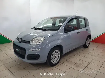 Usata Fiat Panda Lounge 69 CV (50 kW) 2019 Grigio Utilitaria