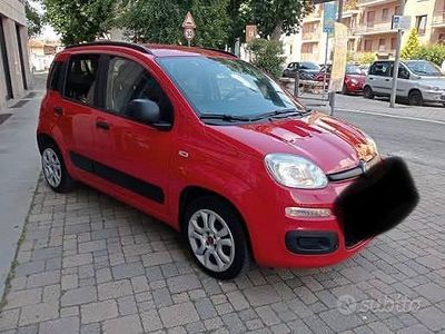 Usata Fiat Panda 80 CV (58 kW) 2017 Utilitaria